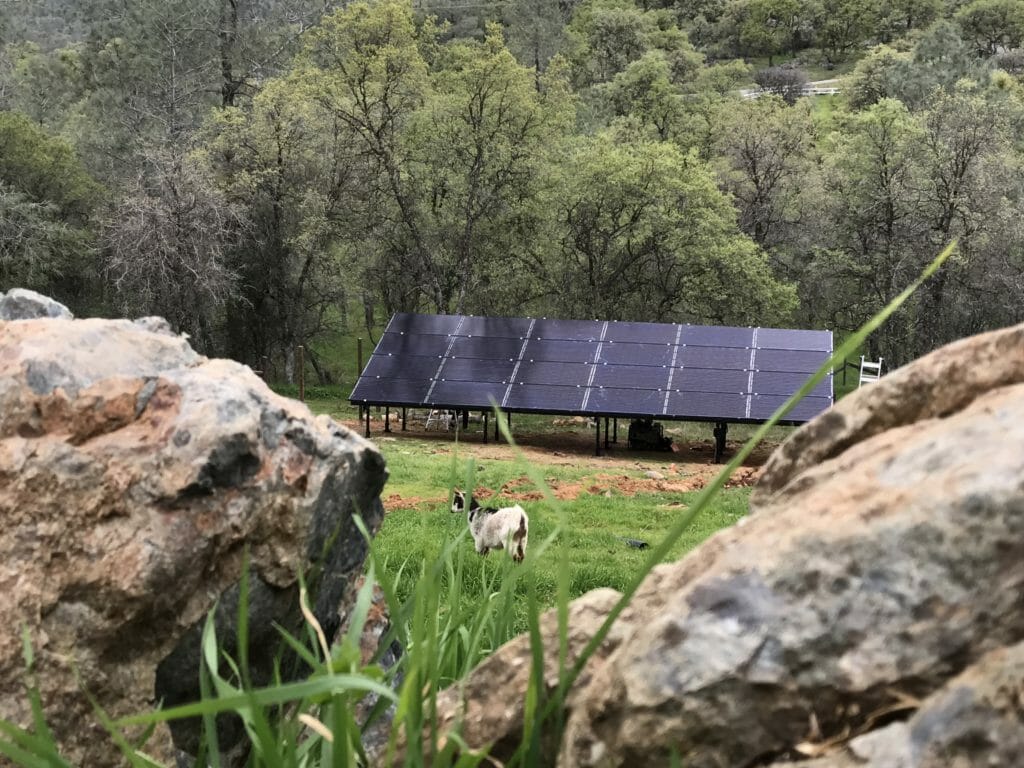 meadow solar array
